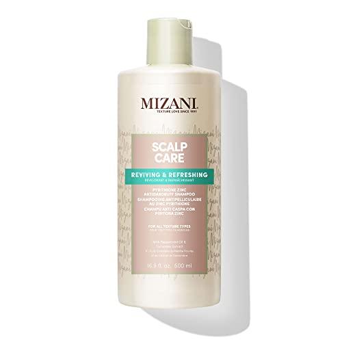 MIZANI MIZANI Scalp Care Dandruff Shampoo | Pyrithione Zinc | Cleanses Hair & Scalp | For Curly Hair | 16.9 Fl Oz