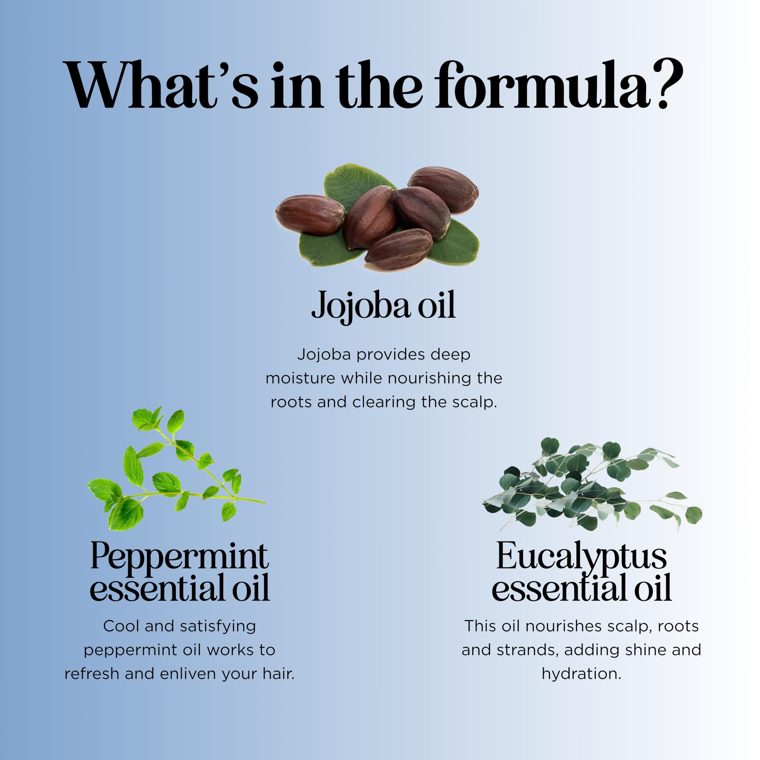 Maple Holistics Sulfate Free Hard Water Shampoo - Deep Clarifying Shampoo for Build Up of Product and Minerals with Five Cleansing Mint Essential Oils for Replenishing Hydration and Hair Shine - Vegan & Cruelty Free