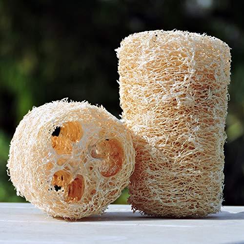 HealthGoodsIn HealthGoodsIn - Organic Loofa Natural Bath Sponge, Set of 2 Exfoliating Bath Sponge Scrubber | Naturally Grown Loofah (Set of 2)