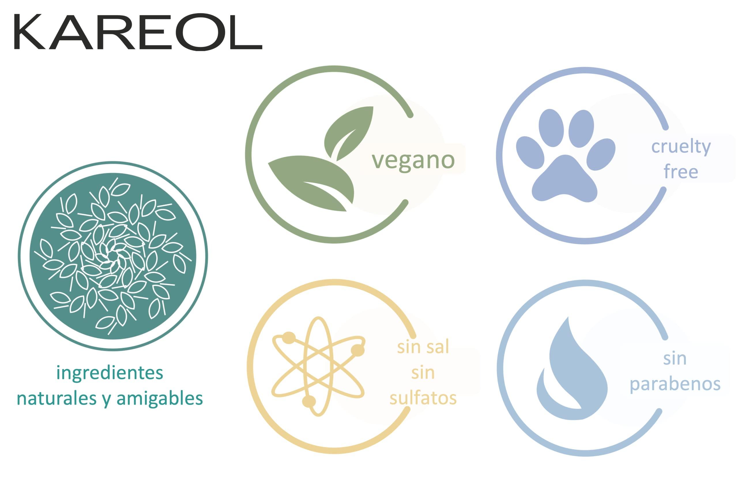 Kareol Kareol Brazilian Straightening For Fragil Hair 12 Weeks