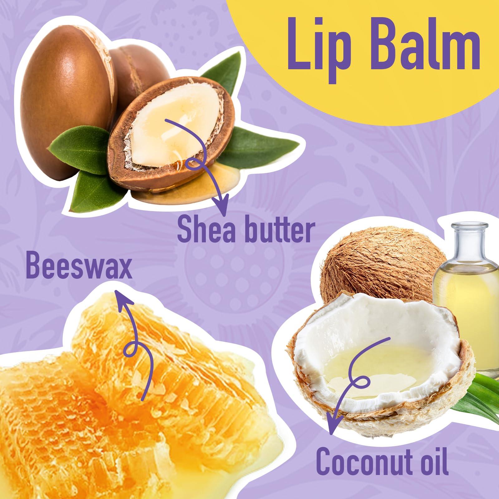 AZEN AZEN 12 Pack Lip Balm, Natural Lip Balm Bulk, Lip Care Product, Moisturizing Lip Balm for dry cracked lips - 12 Flavors