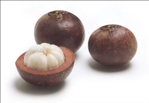 Vitae Organics Raw Unrefined Wild-Harvested/Organically Grown Kokum Butter - 4 oz