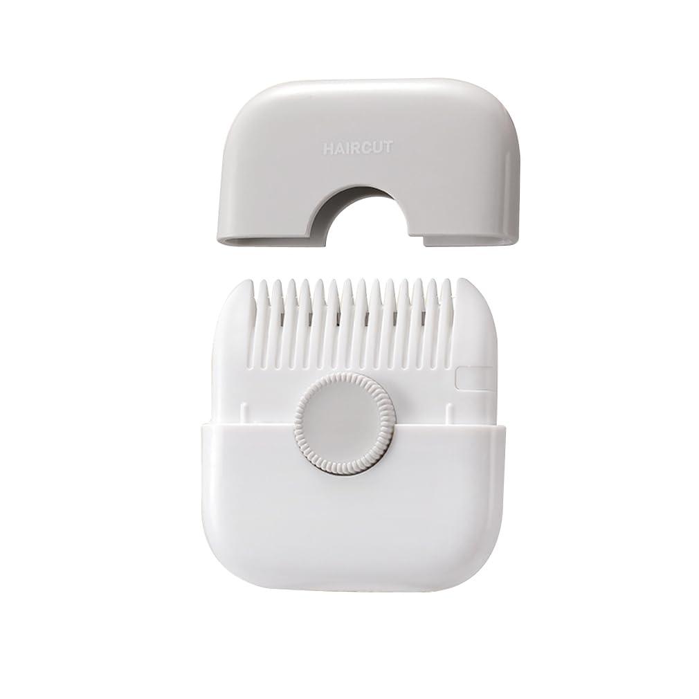 Anbei Hair Split End Trimmer, Split Ends Hair Trimmer, Hair Cutting Tools, 2 in 1 Hair Razor Cutting Comb Tools,Hair Clippers for Women (Grey)