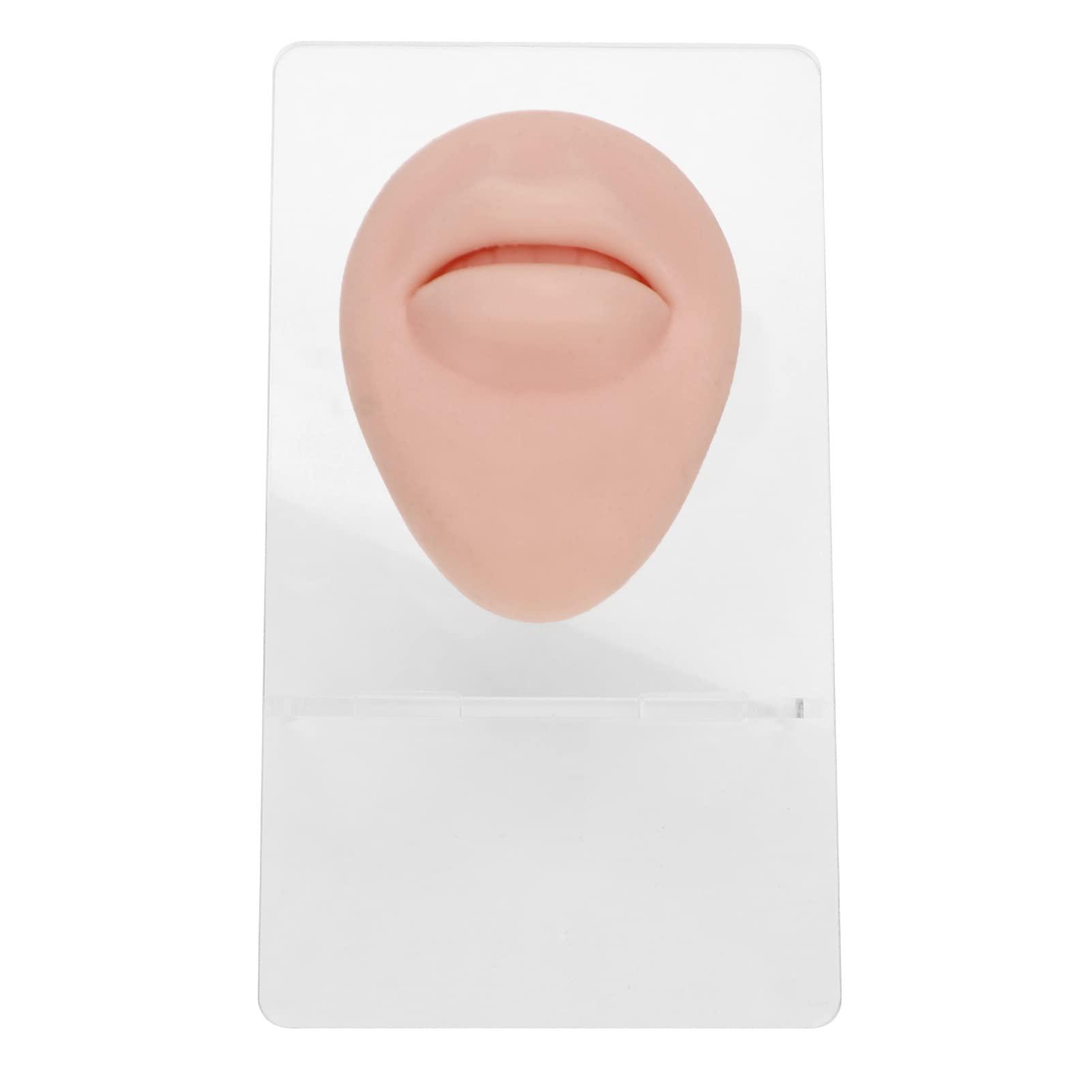 RTLR Piercing Body Model, Soft Compact Silicone Piercing Body Model 3D Simulation Lightweight for Display for Jewelry Stores (Medium Skin Color)