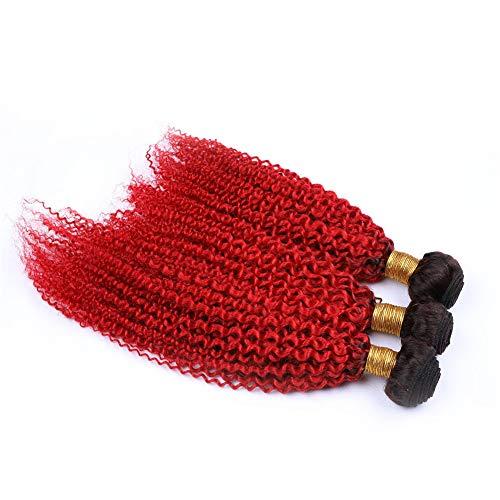 Tony beauty hair Tony Beauty Hair Kinky Curly Virgin Brazilian Human Hair Red Ombre Weave Bundles 3Pcs with 13x4 Free Part Frontal Closure 4Pcs Lot #1B/Red Ombre Hair Wefts with Lace Frontal (22 24 26+20)