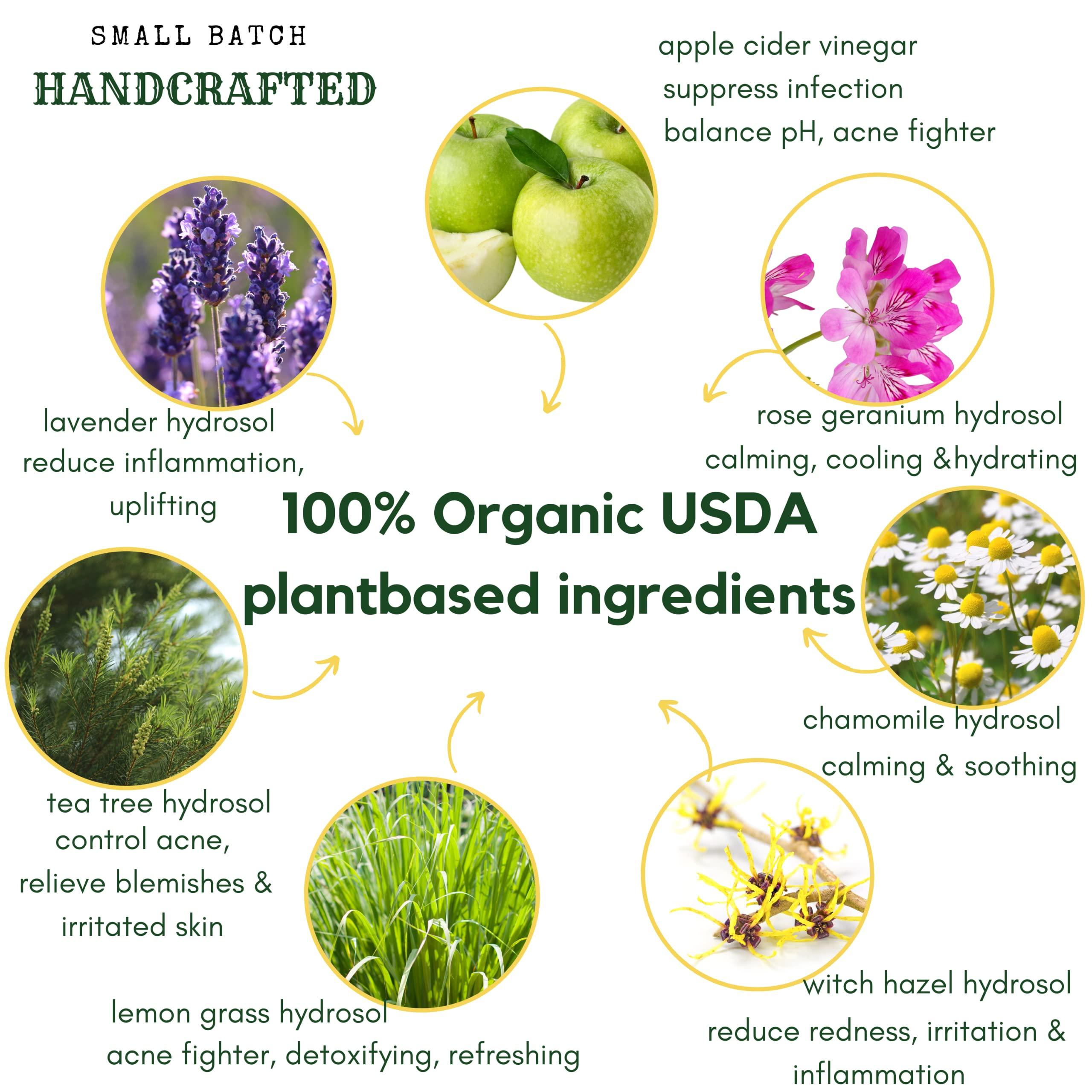 Hello Cider Apple Cider Vinegar Acne Face Wipes-Organic TeaTree, Rose, Chamomile, Witch Hazel.Oil free. Reduce Blemish & Acne. Tone,Restore, Sooth, Balance pH. Dry, Normal, Sensitive Skin. 25ct. USA Hello Cider