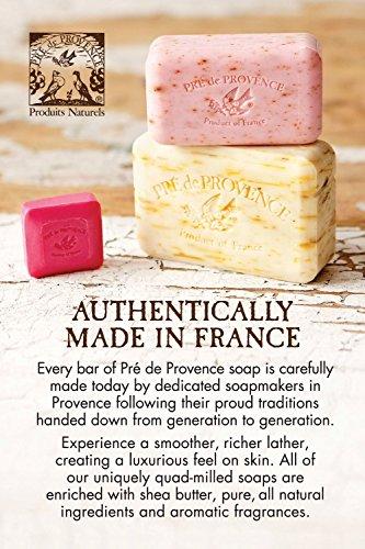 Pre de Provence Pre de Provence Artisanal Soap Bar, Enriched with Organic Shea Butter, Natural French Skincare, Quad Milled for Rich Smooth Lather, Ocean Air, 8.8 Ounce