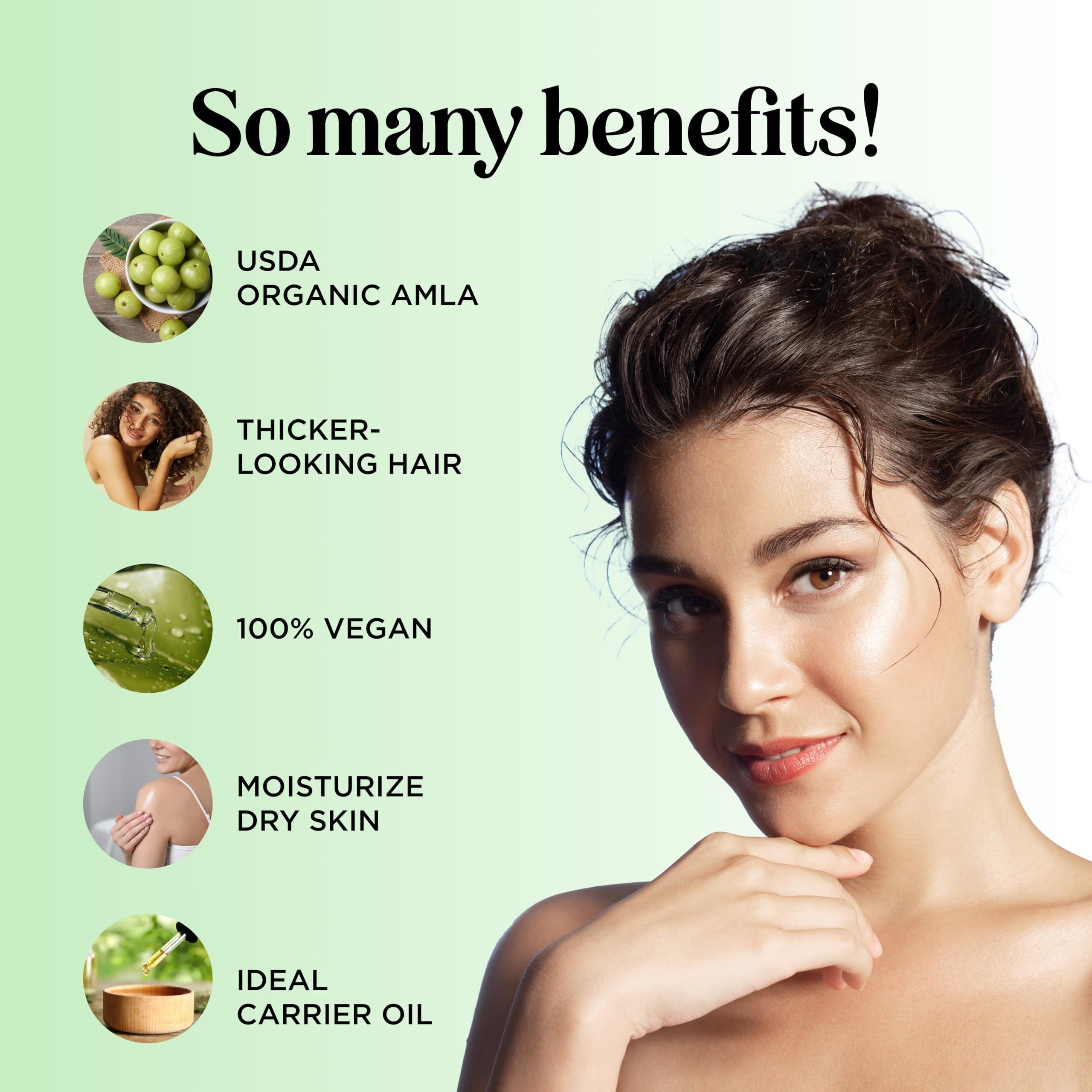 Maple Holistics Organic Amla Oil for Hair Growth - 100% Pure Amla Hair Oil for Hair Growth & Hydration - Cold-Pressed Extra Virgin Unrefined Non-GMO & USDA Organic Hair Oil for Dry Hair and Scalp Care (4 Fl Oz)