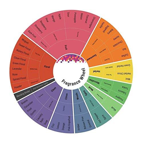 Dr Teal's Dr Teal\'s Foot Cream, Moisturize & Soften, with Shea Butter & Aloe Vera, 8 oz.