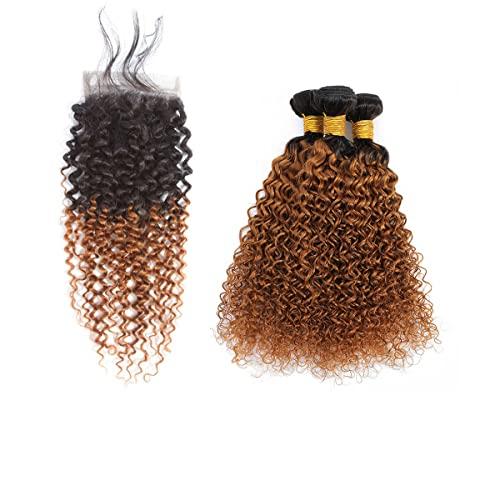 Annora Kinky Curly Bundles with Closure Two-tone Brown T1B/30 3 Bundles with 4x4 Lace ClosureHuman Hair Human Hair Grade 8A Soft 100% Brazilian Hair Extension (18"20"22"+16"Closure) Inch