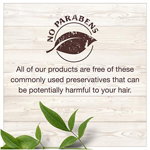 Garnier Garnier Hair Care Whole Blends Strengthening Ginger Recovery Shampoo, 12.5 Fluid Ounce