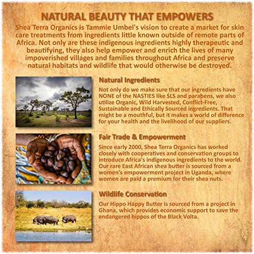 Shea Terra Organics Shea Terra Moroccan Argan Cold-Pressed Extra Virgin Oil | Nutrient-Rich, All Natural & Organic Oil with Anti-Aging Vitamin A and E to Increase Skin Elasticity for Dry, Mature Skin – 2 oz