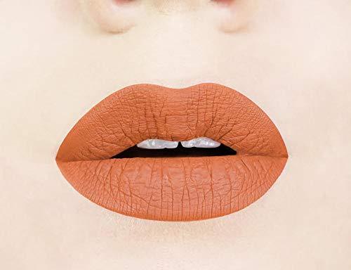 Aromi Aromi Matte Liquid Lipstick | Long-Lasting, Waterproof, Smear, Smudge + Transfer Proof, Nutmeg Orange Lip Color, Paraben, Phthalate, Gluten Free (Burnt Pumpkin)