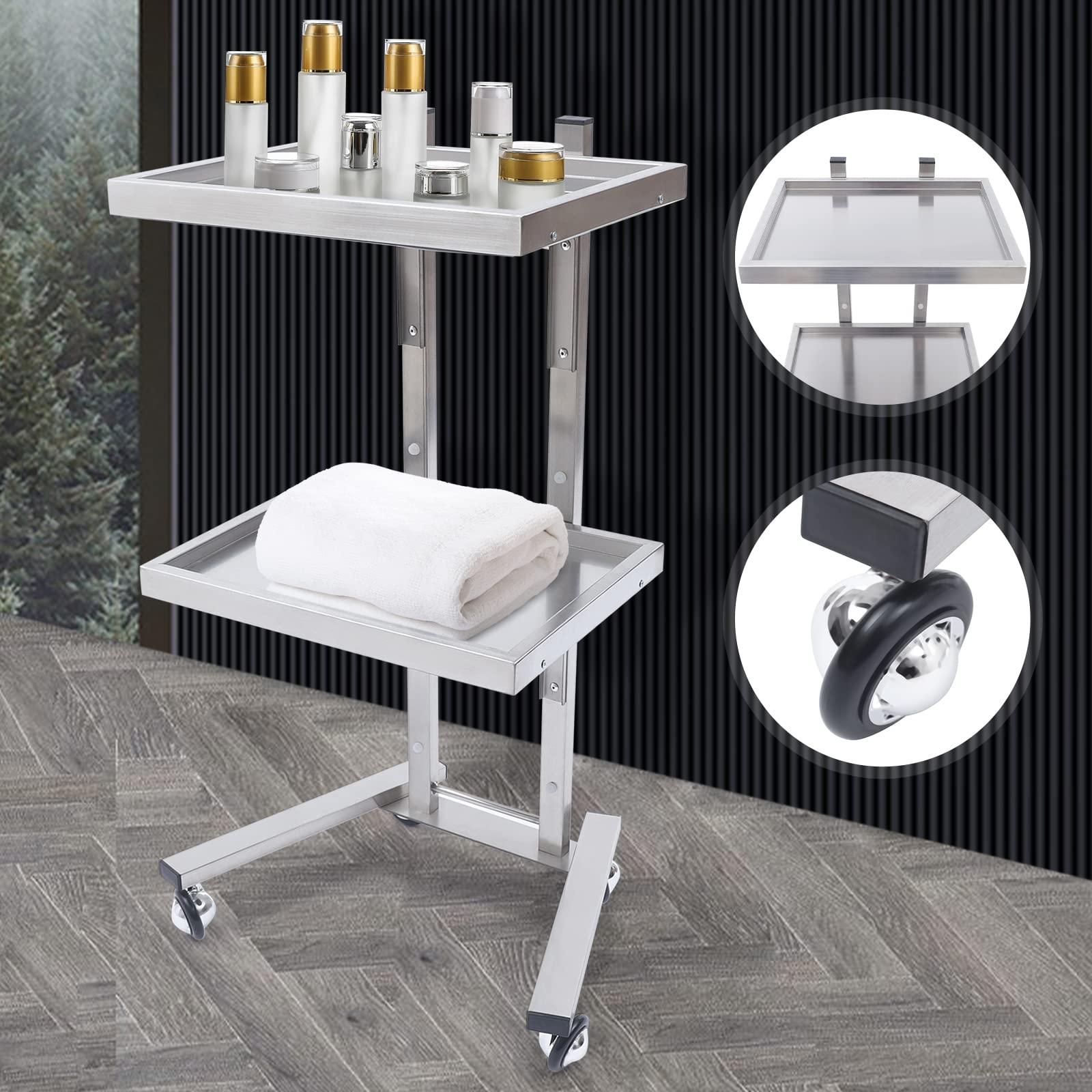 Shikiy Shikiy Rolling Tool Trolley Cart with Double Storage Tray, 2 Tier Stainless Steel Trolley Cart Hair Salon Tattoo Medical Tray Cart with Universal Wheel for Hair Salon Tattoo Studio Home Use, Silver