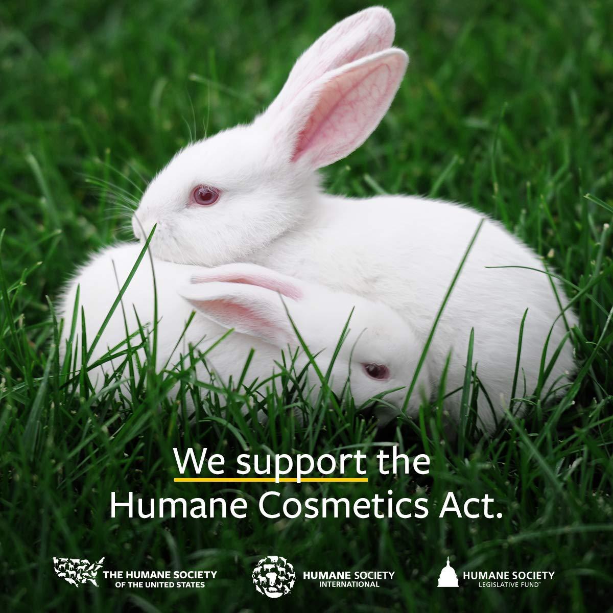 US Organic US Organic Borage seed Oil (18% GLA), USDA Certified Organic, 100% Pure & Natural, Cold Pressed, aka Starflower oil, in Amber Glass Bottle w/Glass Eye dropper for Easy Application (4 oz (115 ml))