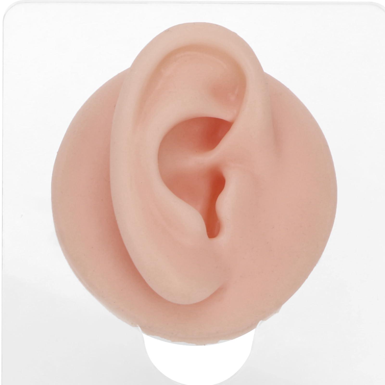 RTLR Piercing Body Model, Soft Compact Silicone Piercing Body Model 3D Simulation Lightweight for Display for Jewelry Stores (Medium Skin Color)
