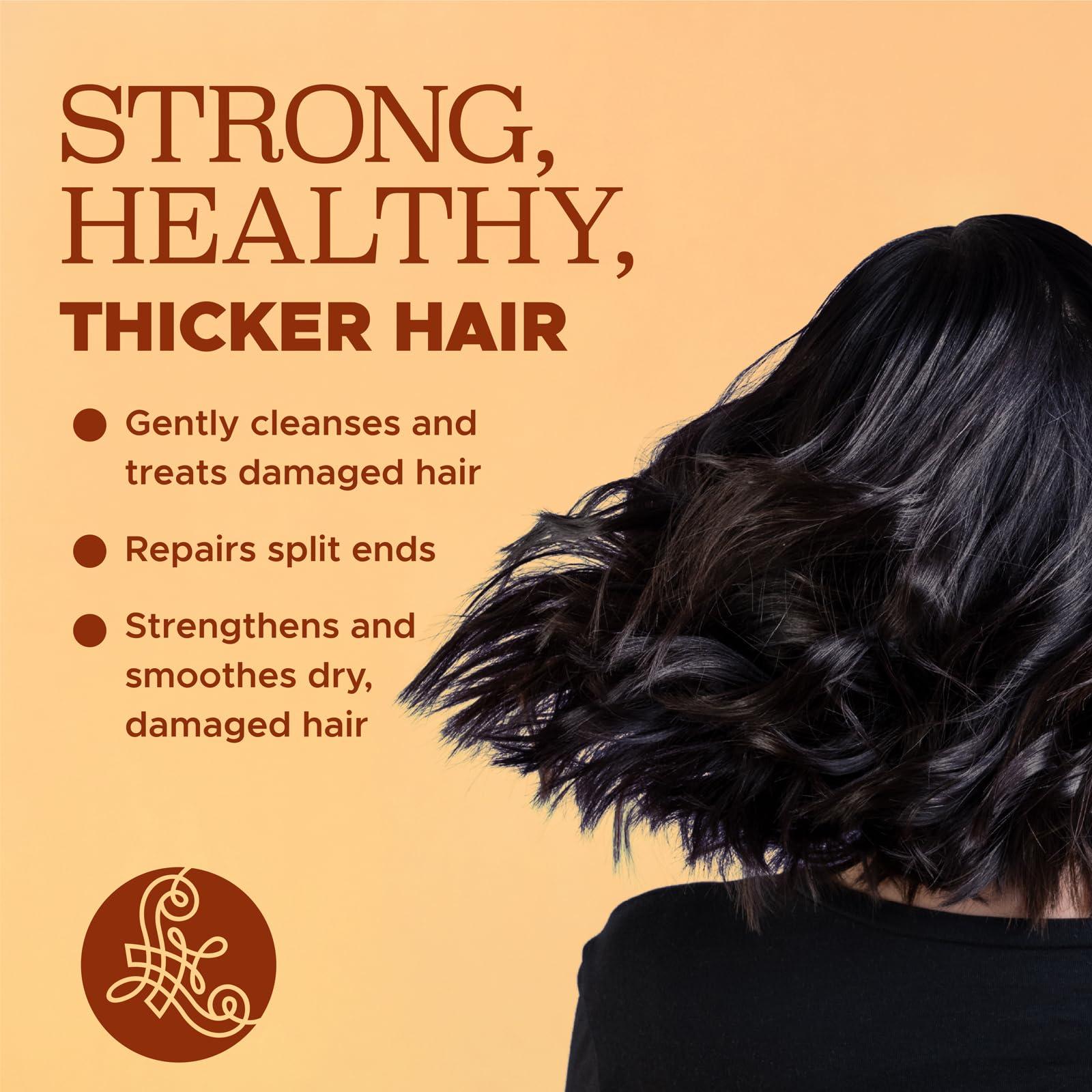 L LUSETA Luseta Shampoo and Conditioner Set with Turmeric & Collagen, Hair Volumizing Shampoo for Thin or Oil Hair, Sulfate and Parabens Free 2x33.8Oz