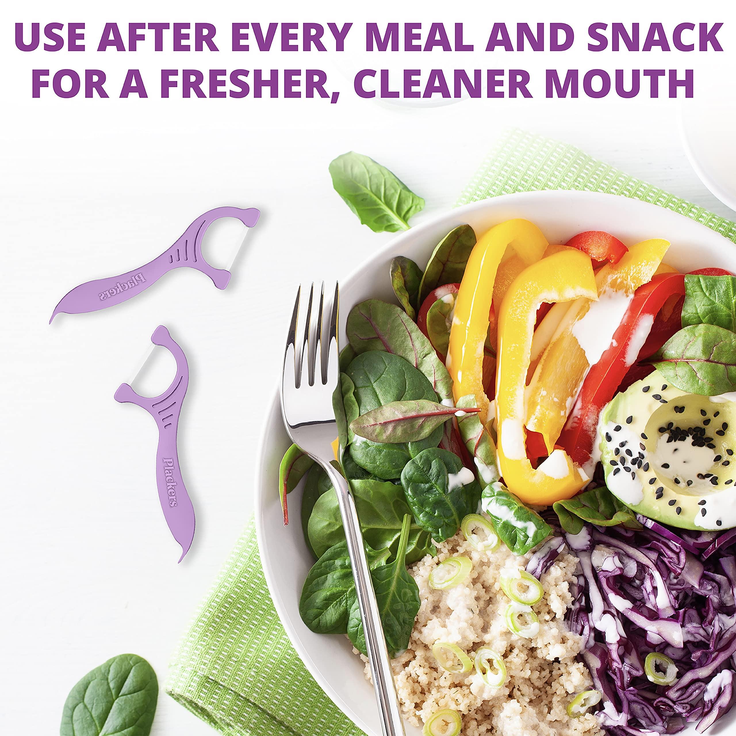 Plackers Plackers Gentleslide Flosser, 90 Count