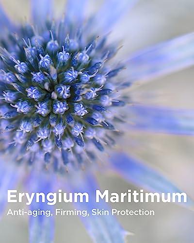 THESAEM THESAEM Facial Intensive Peeling Gel- Korean Gentle Exfoliating Gel for Dead Skin Cells, Special Enzyme, PHA, Cellulose, Bamboo Powder, Cell Renew Bio Micro Peel Intense Gel, 5.41 fl.oz.