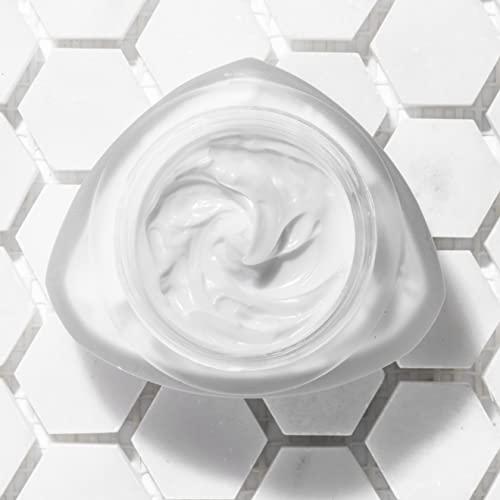 Aloette Aloette Maximum Moisture Complex, Premium Age Defying Face & Anti Wrinkle Cream, Vitamin E, Shea Butter, Aloevera for All Skin Types, Cruelty Free, 2.3 Oz