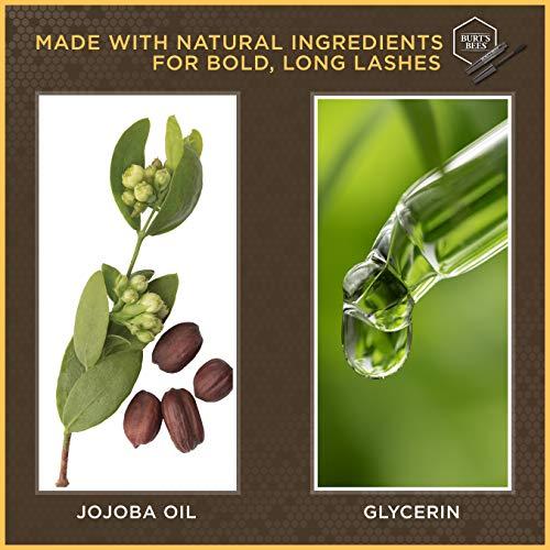 Burt's Bees Burts Bees 100% Natural Nourishing Mascara, Classic Black - 0.4 Ounce (Pack of 2)