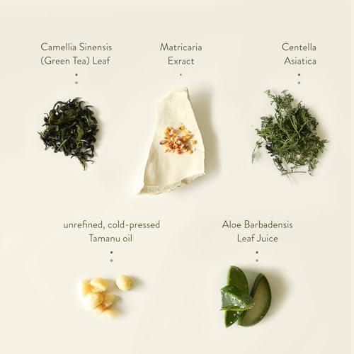 SIORIS SIORIS Deep In A Barrier Cream 1.69 fl.oz: A Tamanu Oil-powered, organic and vegan intensive skin repair cream, strengthens the skin barrier, soothes sensitive skin, and deeply moisturize