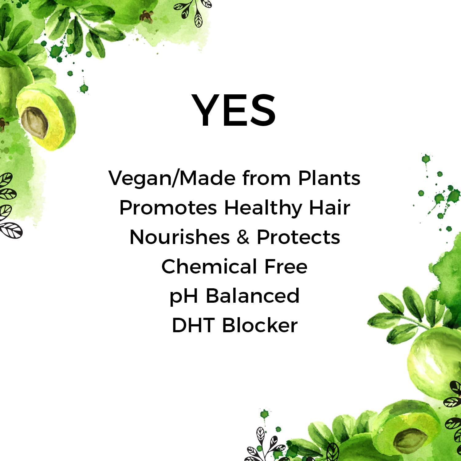 NinthAvenue Basics Amla Shampoo with Reetha & Shikakai - Sulfate & Paraben Free Shampoo for Hair Fall Control, Moisturizing, Anti-Dandruff | Infused with Coconut & Castor Oils | Organic Shampoo for Dry & Oily Scalp Care