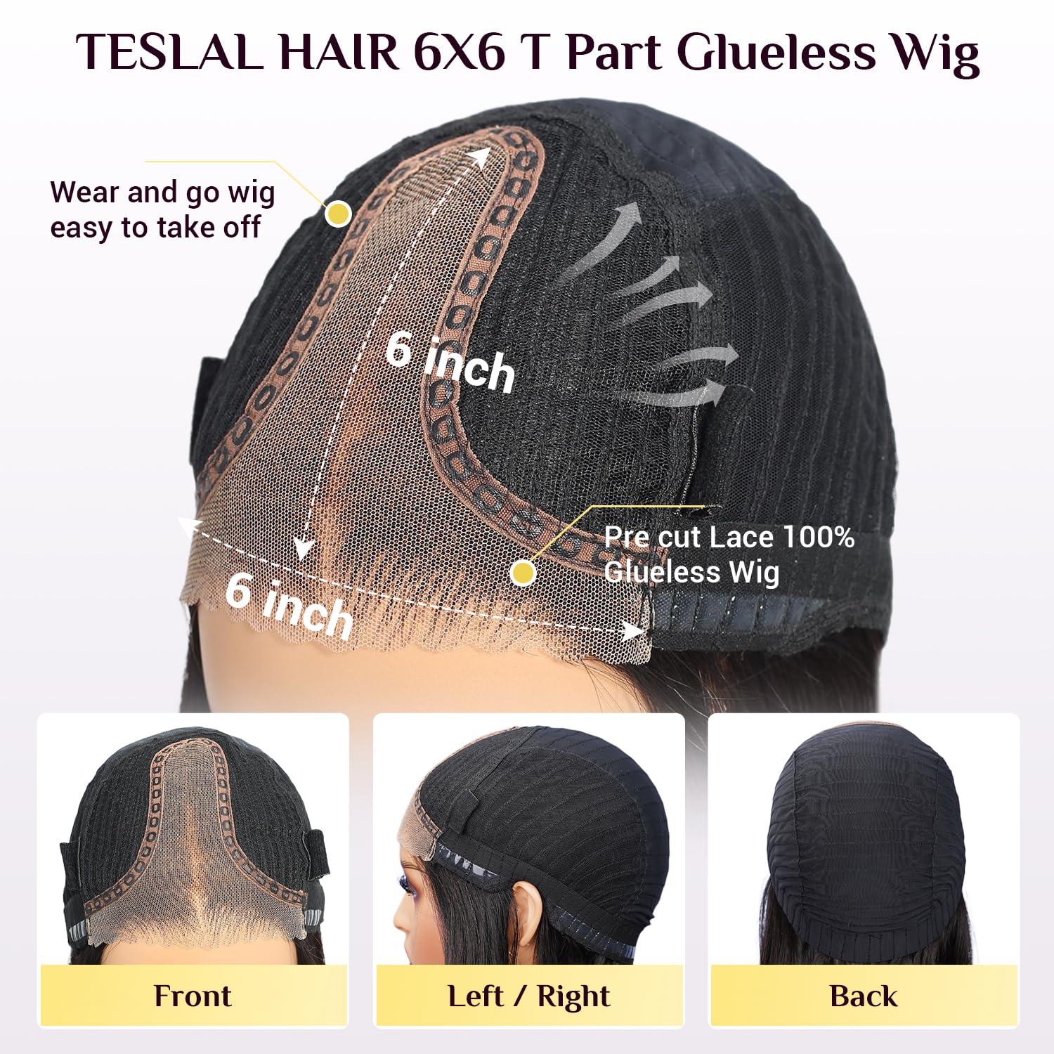 TESLAL TESLAL Blend Wigs Human Hair Glueless Wear and Go Glueless Wigs Human Hair Pre Plucked Pre Cut Layered Wig Straight 6X6 Synthetic and Human Hair Blend Wig 22Inch Black Color 260% Density