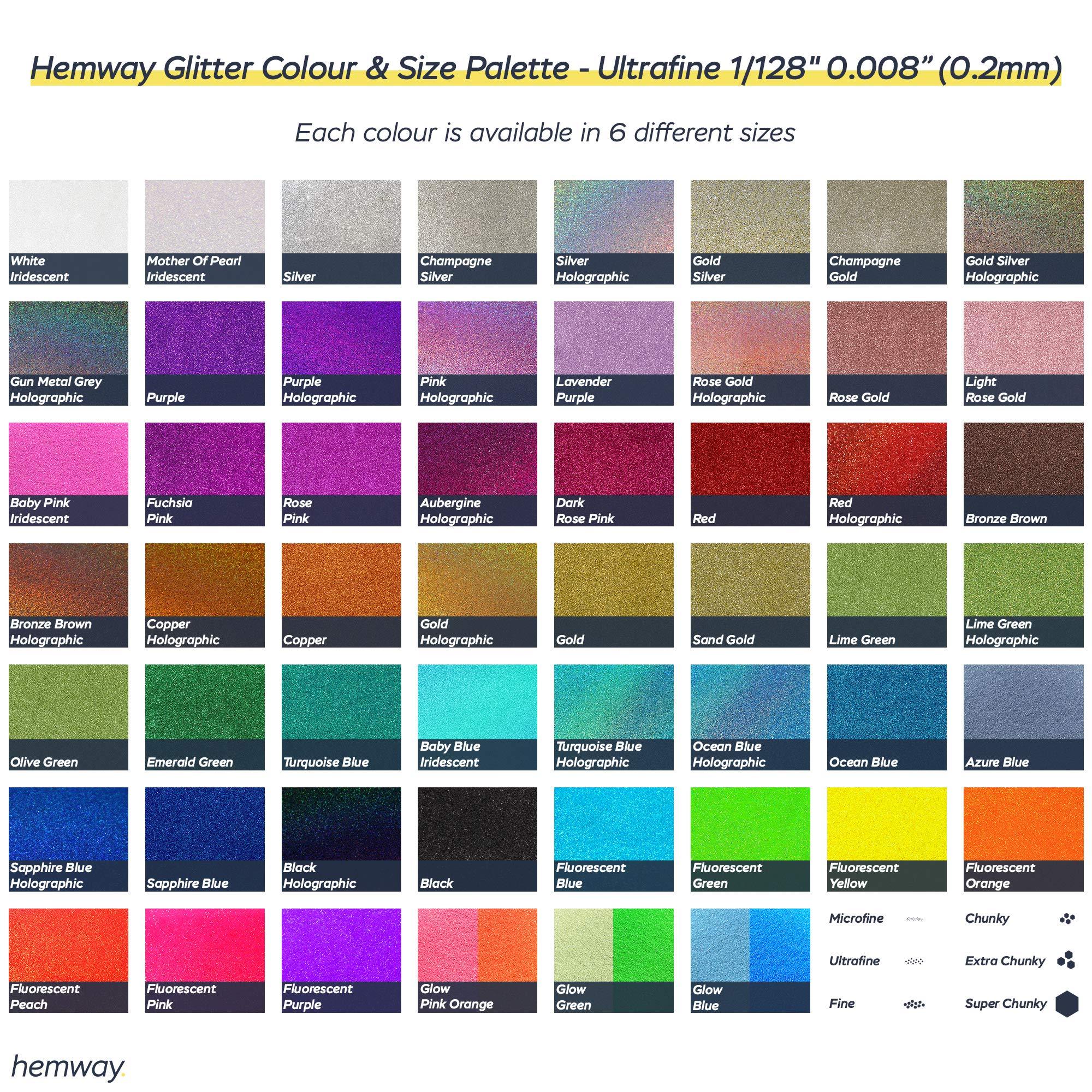 Hemway Hemway Eco Friendly Ultra Sparkle Glitter 100g / 3.5oz - Biodegradable Vegan Cosmetic Safe for Craft Face Hair Nail and Festival Makeup - Ultrafine (1/128" 0.008" 0.2mm) - Gun Metal Grey Holographic