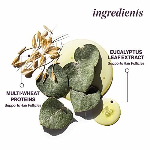 Pureology Pureology Pure Volume Shampoo and Conditioner Bundle | For Flat, Fine, Color-Treated Hair | Sulfate-Free | Vegan | Updated Packaging | 33.8 Fl. Oz.