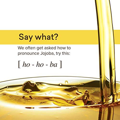 THE JOJOBA COMPANY BEAUTY IS IN OUR NATURE Jojoba Ultimate Night Cream - Visibly Reduces Wrinkles - Enhances Skin Regeneration - Improves Skin Texture - 50ml