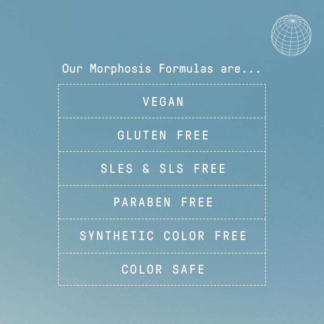 FRAMESI FRAMESI Morphosis Balance Shampoo 8.4 fl oz