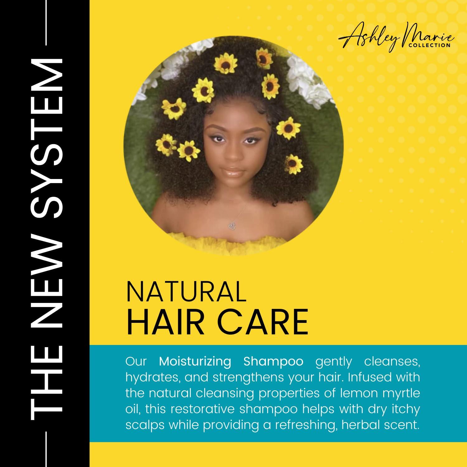 The Hair Diagram The Hair Diagram - Ashley Marie Moisturizing Shampoo - Natural Cleansing & Strengthening - Restorative Lemon Myrtle Shampoo with Hydrolyzed Wheat Protein - Color Safe - Paraben & Sulfate Free - 12oz