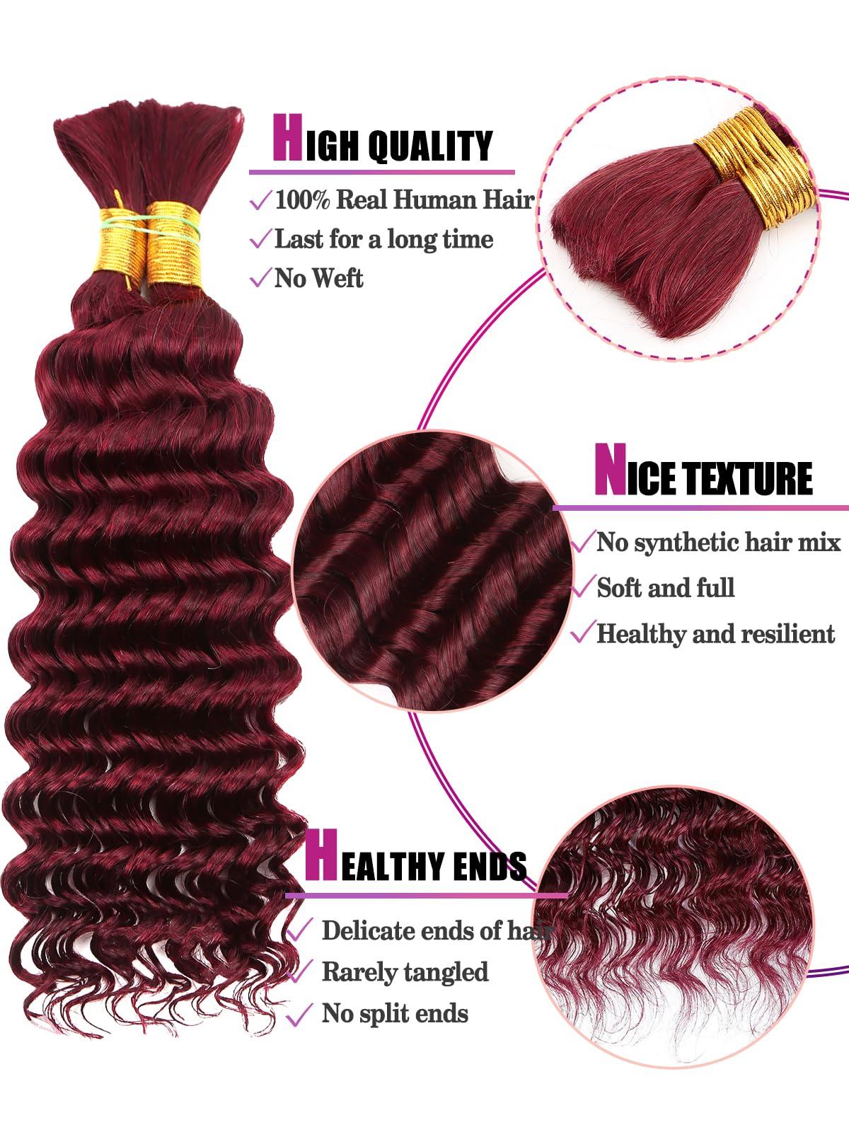CLong 99J Burgundy Human Braiding Hair Deep Wave Bulk Human Hair for Braiding, No Weft Curly Braiding Hair Extensions for Boho Braids Wet and Wavy Braiding Human Hair Bundles(22inch,99j,100g)