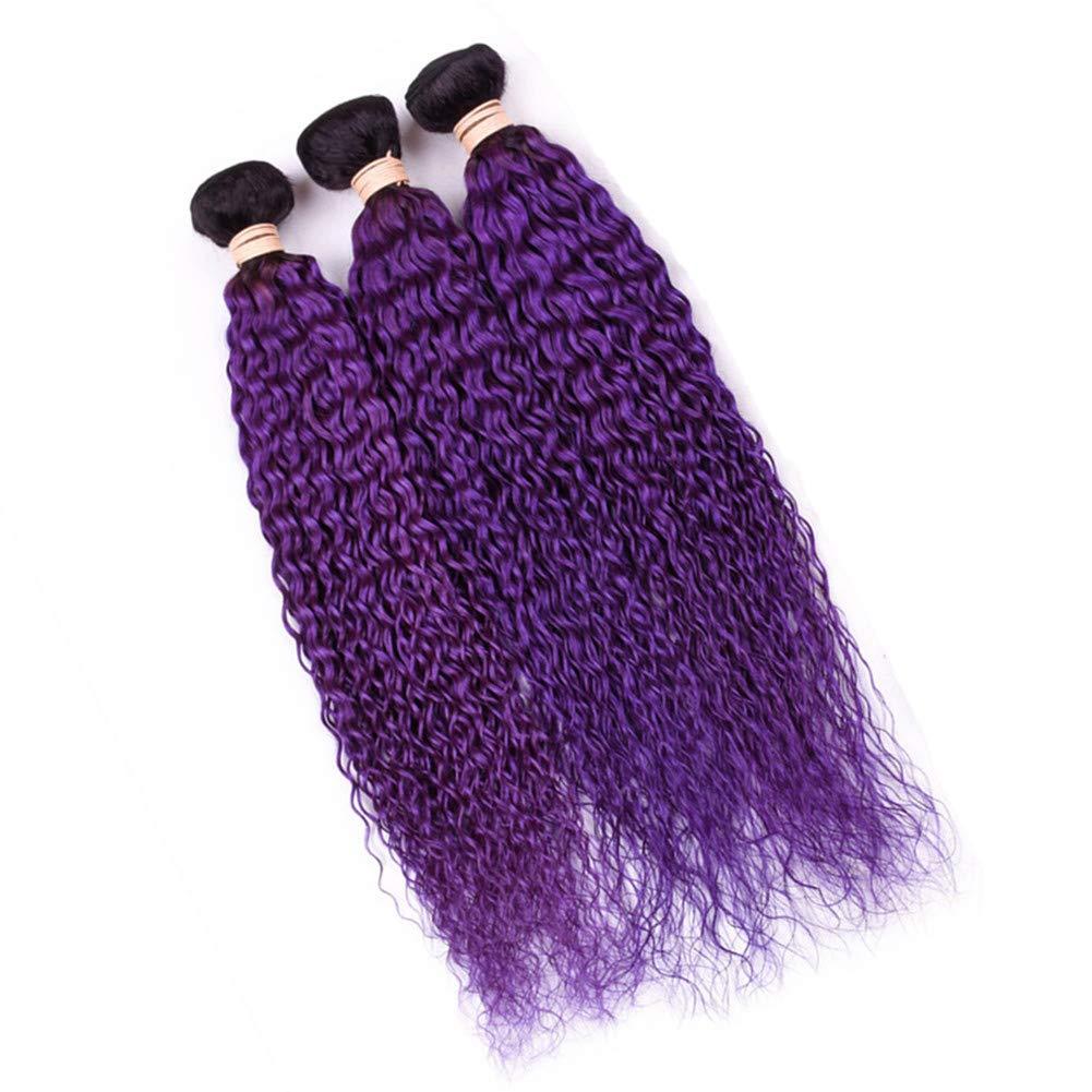 Tony beauty hair Tony Beauty Hair #1B/Purple Ombre Curly Human Hair Bundles Deals 3Pcs Lot Jerry Curly Ombre Purple Brazilian Human Hair Weave Extensions Dark Roots Double Wefts 10-30" Mixed Length (26 28 28)