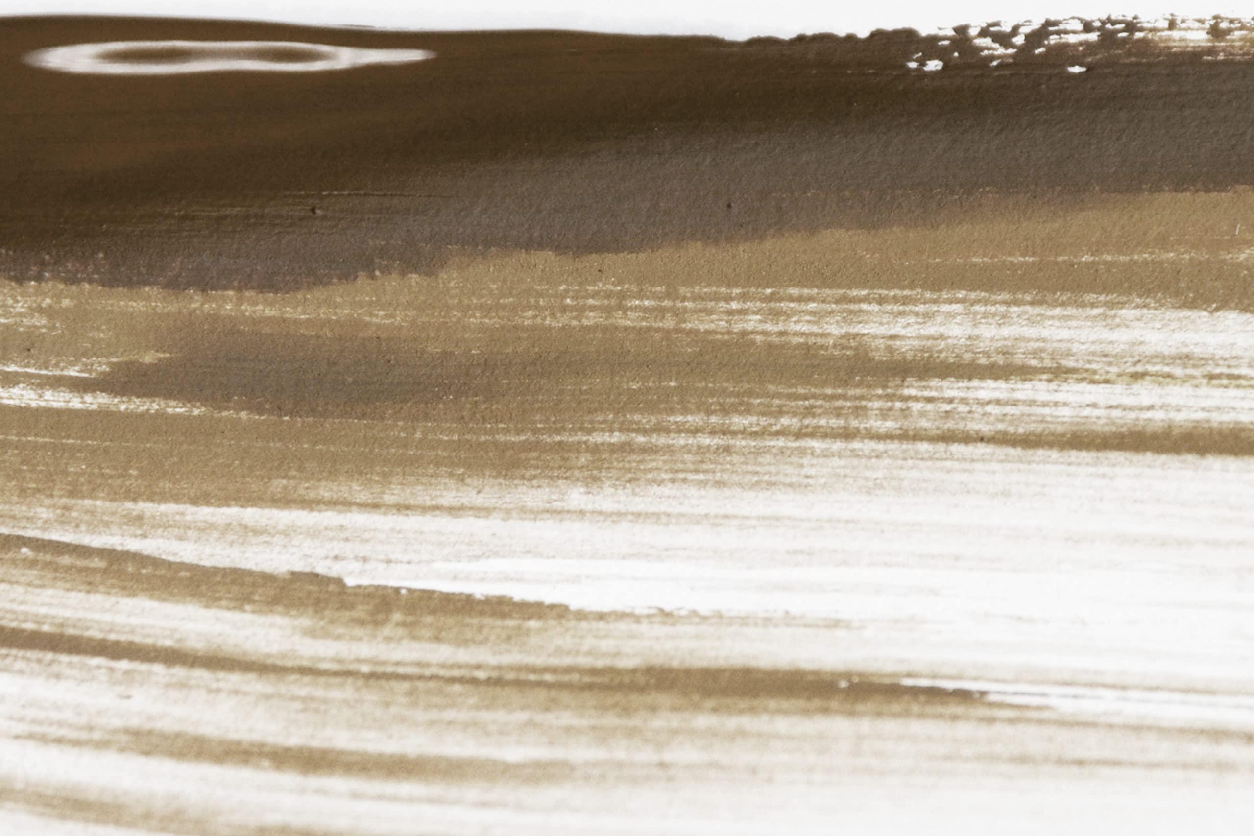 SofTap SofTap PMU Eyebrow Microblading Shading Pigment for Permanent Makeup Tattoo (Brown Sugar)