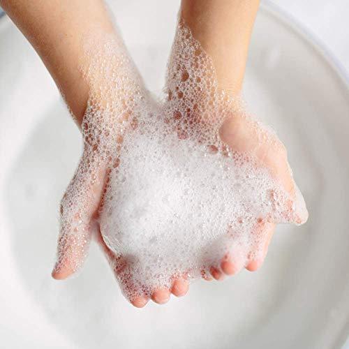 Bastion Antimicrobial Hand Soap: Silky Pink Lotion Liquid Hand Wash -Bulk One Gallon (128 oz) Refill Jug. PH Balanced Ultra-Strength. Made In USA (One Gallon)