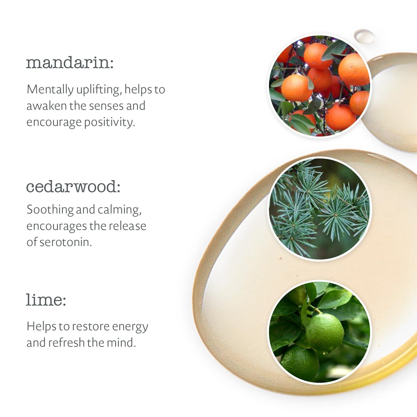 Elemental Herbology Elemental Herbology Harmony Bath & Body Oil, 5.0 Fl Oz- Bath Oil for Skin Nourishment - Mandarin, Lime, Cedarwood Essential Oils Blend for a Relaxing Bath - Cruelty Free