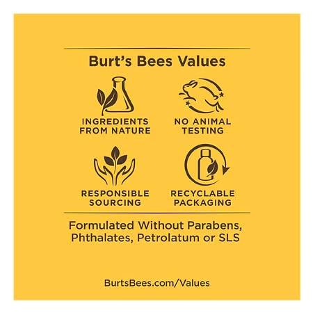 Burt's Bees Burt's Bees Naturally Clean Hand Soap