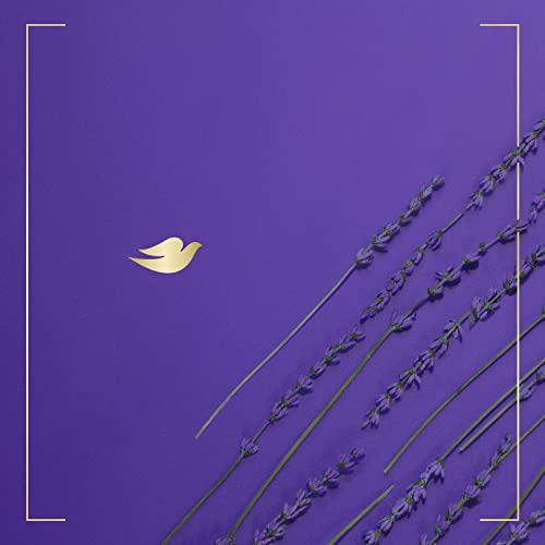 Dove Dove Body Wash for Softer and Smoother Skin After Just One Use Lavender Oil and Chamomile Stress Relieving and Calming 22 oz, 4 Count