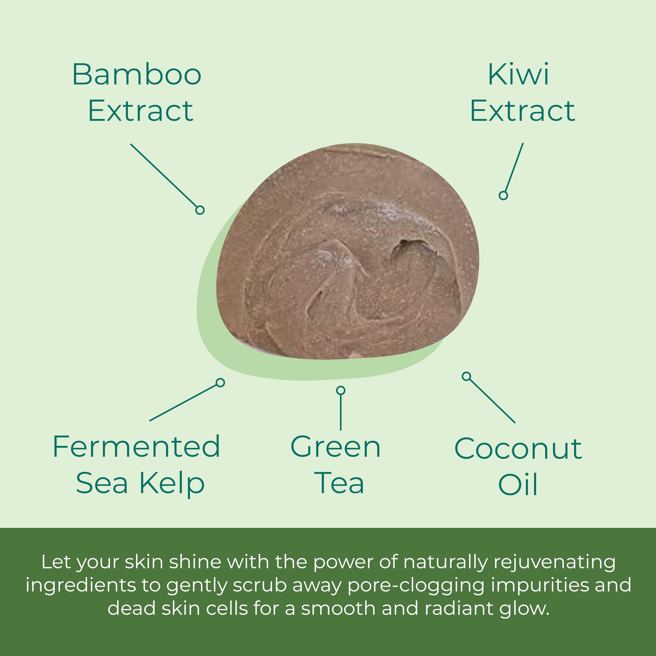 Sea-El Sea El Coconut Kiwi Exfoliating Face Scrub Hydrating Calming & Purifying Anti Aging Exfoliator - Bamboo Pumice & Green Tea Detoxifying Exfoliant Facial Cleanser & Polish for Women & Men - 4 Oz