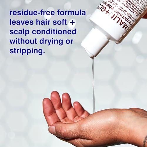 MALIN+GOETZ Malin + Goetz Peppermint Shampoo, 16 Fl. Oz. - Men & Women Clarifying Shampoo, Natural Hair Shampoo to Cleanse & Hydrate, Scalp Shampoo Treatment for All Hair Types, Vegan & Cruelty-Free