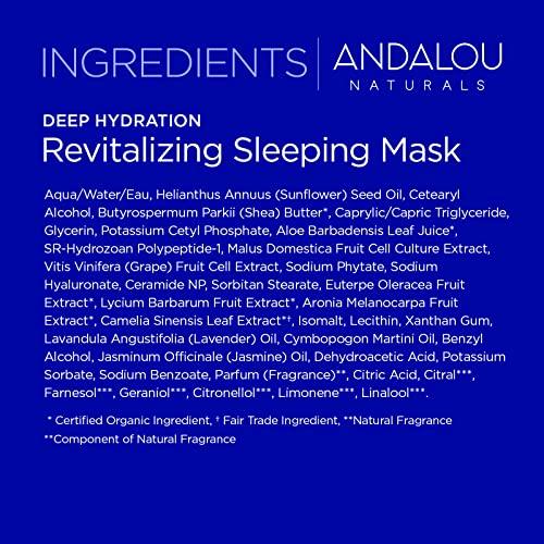 Andalou Naturals Andalou Naturals DEEP HYDRATION Revitalizing Sleeping Mask (Pack of 2)