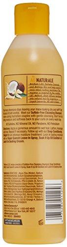 Soft-Sheen Carson SoftSheen-Carson Dark and Lovely Au Naturale Moisture LOC Sulfate-Free Cleansing Shampoil, 13.5 fl oz
