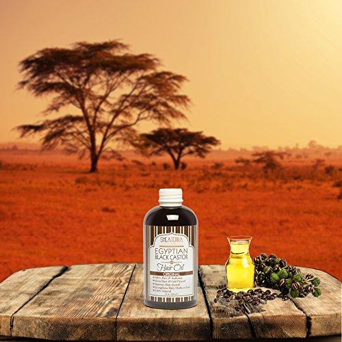Shea Terra Organics Shea Terra Organics 100 Percent Pure Egyptian Black Castor Extra Virgin Oil | All-Natural Strengthening and Conditioning Hair Oil for Healthy Hair Growth and Scalp– 8 oz