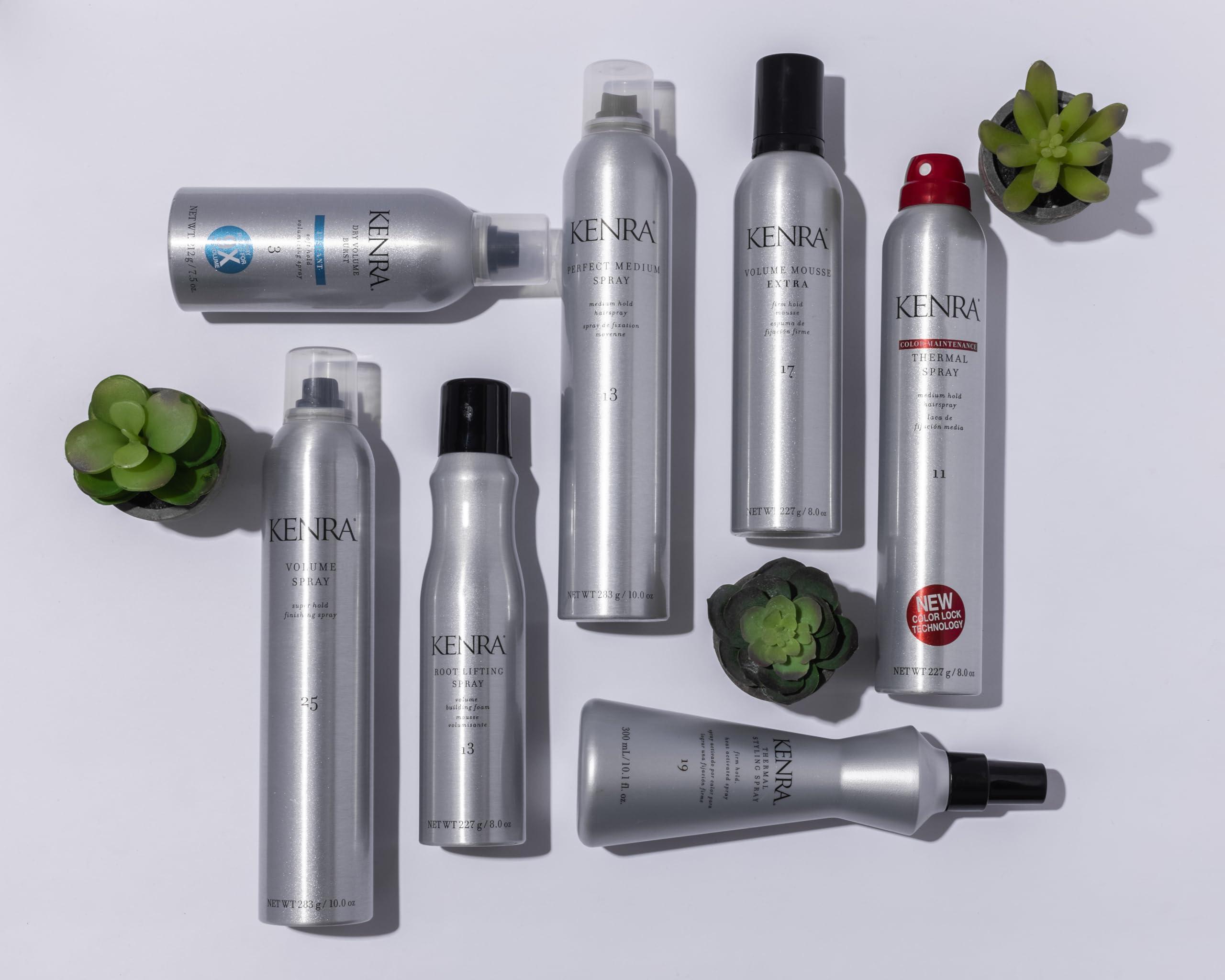 Kenra Professional Kenra Thermal Styling Spray 19 | Heat Protection Spray | Firm Hold Heat-Activated Spray | Tames Frizz, Flyaways & Adds Shine | All Hair Types | 10 fl. Oz