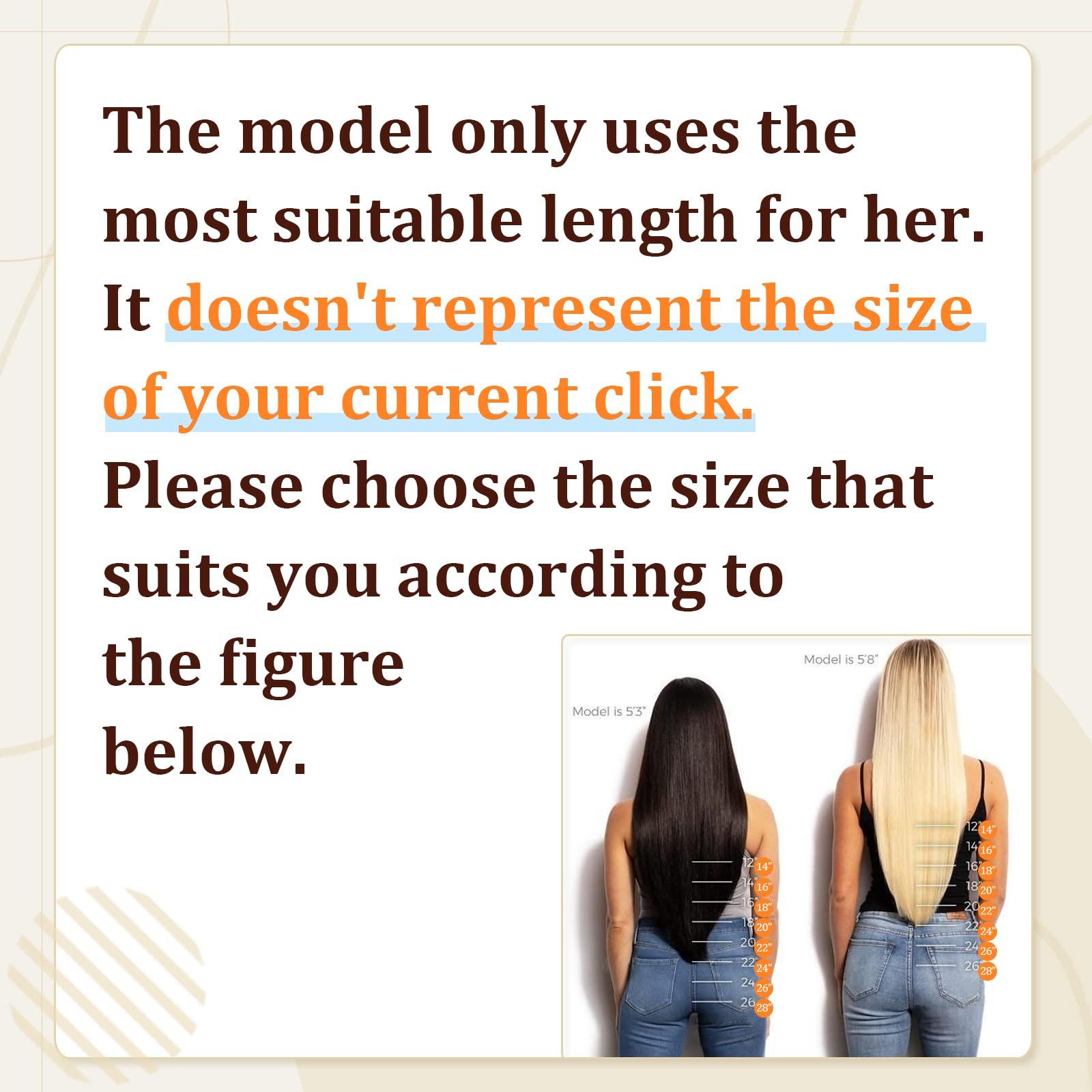 Sunny Hair Sunny Hair Clip in Hair Extensions Straight Human Hair Clip in Extensions Remy Clip in Hair Extensions Real Human Hair Extensions Clip ins Full Head Dark Brown Roots to Ash Blonde 20inch