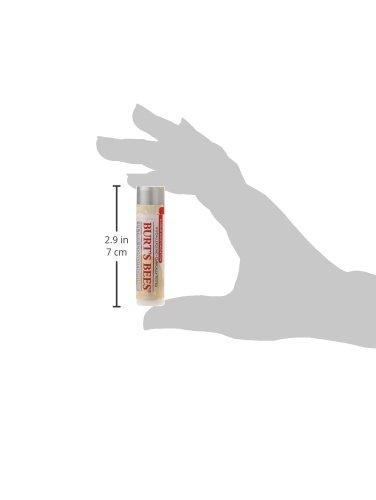 Burt's Bees Burt's Bees Lip Balm, Moisturizing Lip Care, for All Day Hydration, 100% Natural, Ultra Conditioning with Shea, Cocoa & Kokum Butter
