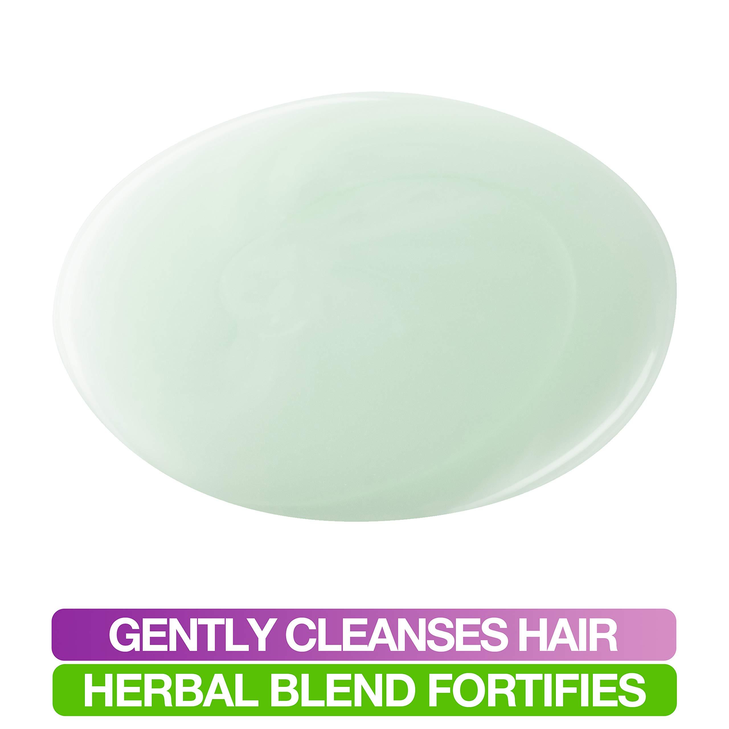 Mane 'n Tail Mane \'n Tail: Herbal Gro Shampoo + Conditioner (12 oz Each), Olive Oil Complex That Helps Strengthens & Nourishes Hair