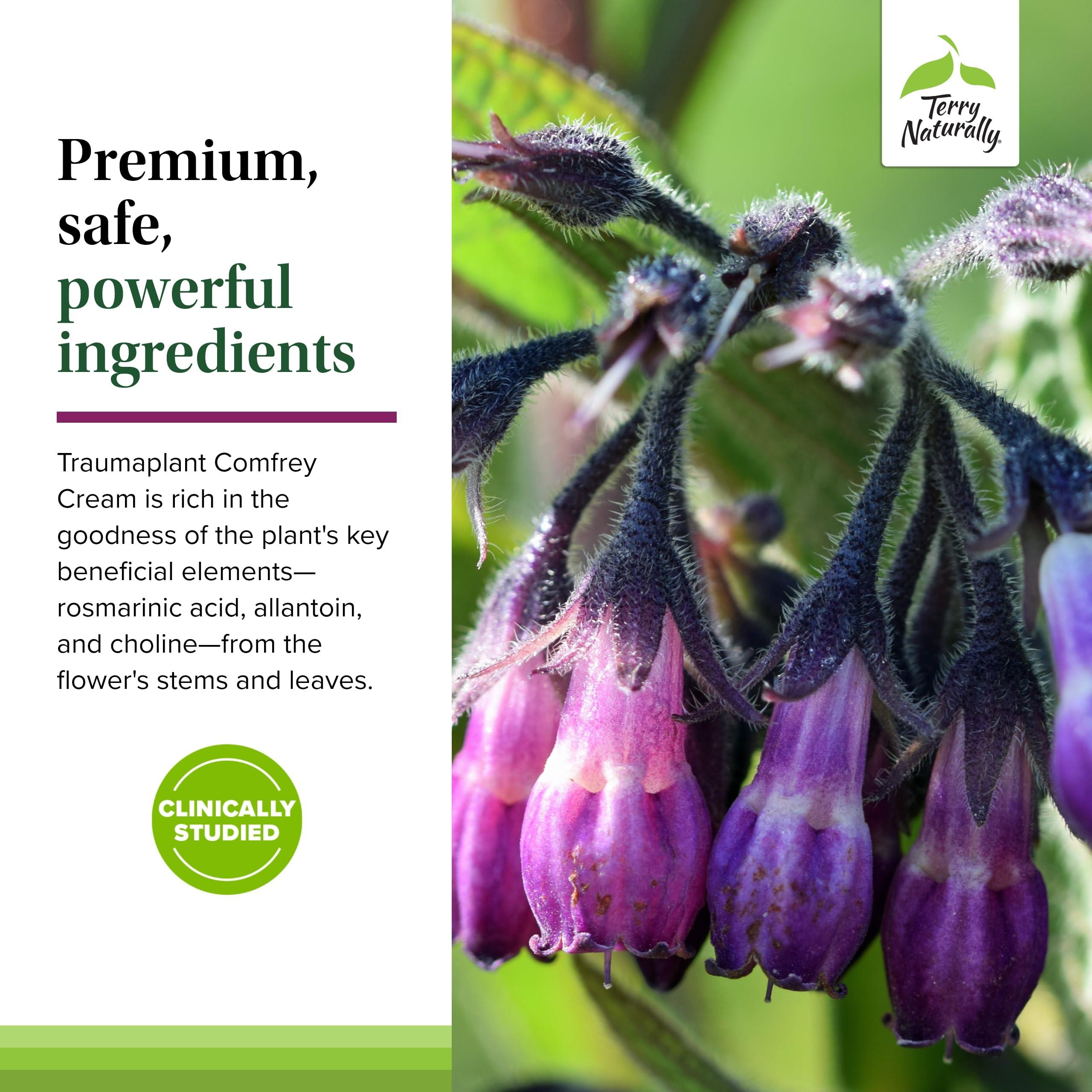 Terry Naturally Terry Naturally Traumaplant Comfrey Cream - Non-Staining Herbal Cream - Clinically Studied and Free of Pyrrolizidine Alkaloids - for External Use Only - 1.76 oz (2 Pack)